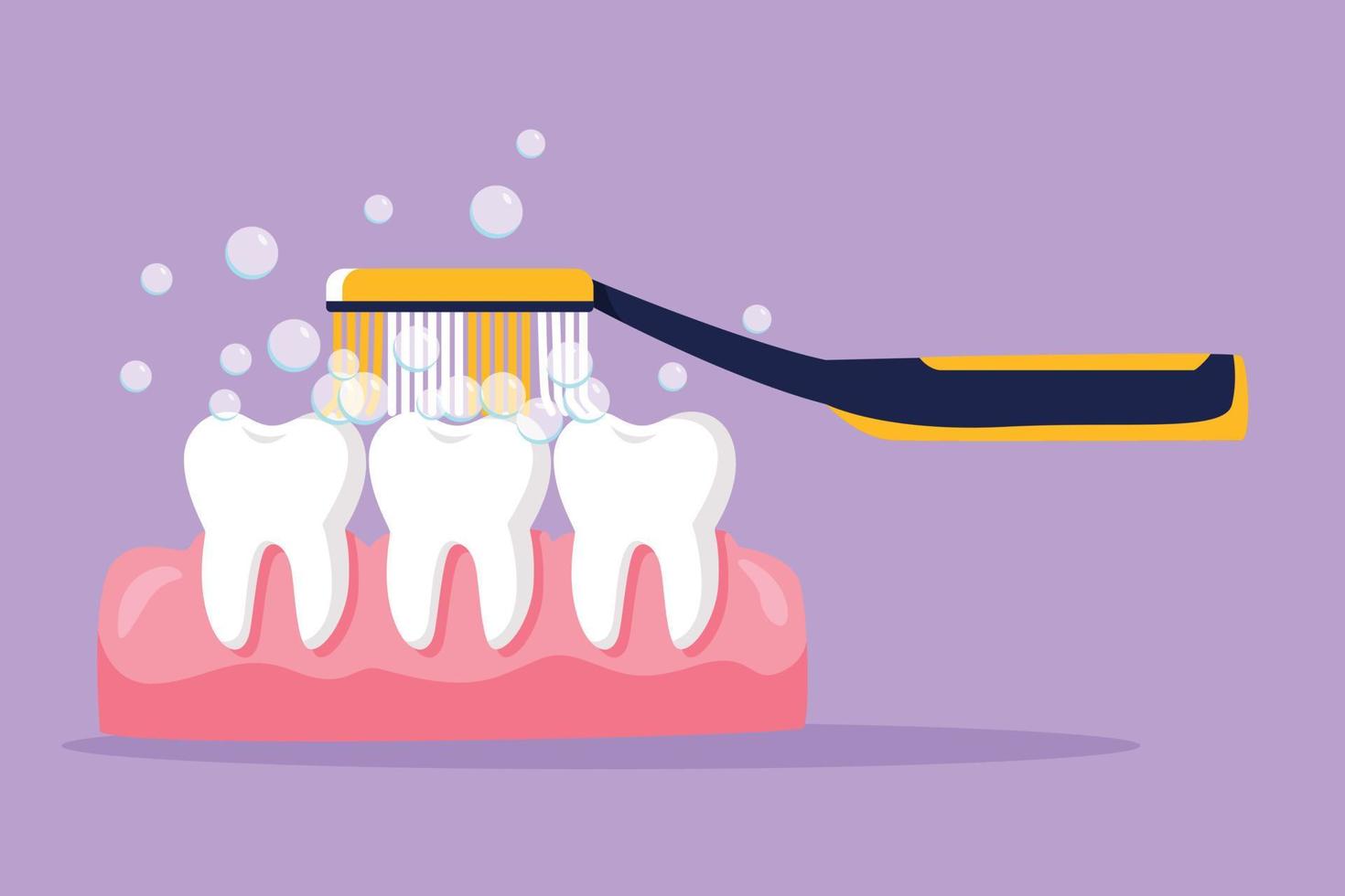 How to Brush Your Teeth Correctly: Key Steps for Oral Health